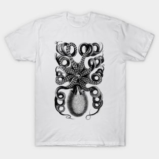 Vintage Cuttlefish Sketch T-Shirt